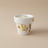 Mother’s Day gift set with live plant, floral terra cotta pot, soy coconut candle, and pressed flower card