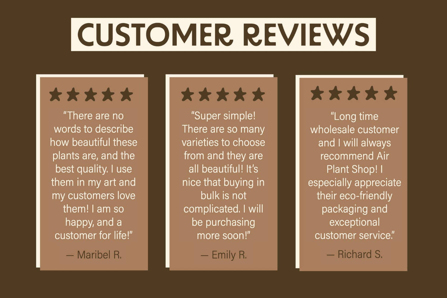 Juncea, Tillandsia Air Plants