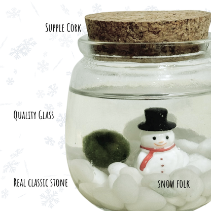 Holiday Marimo Moss Ball Terrariums