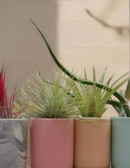 Mini blush ceramic pot (2.25&quot; tall) perfect for air plants or tiny succulents. Smooth glazed finish adds a modern touch. Plant not included. Indoor use.