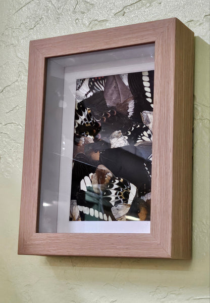 Butterfly Reverie Framed Art - Real Butterfly Wings